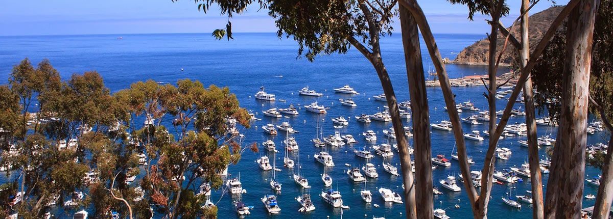boats anchored in the bay of catalina island